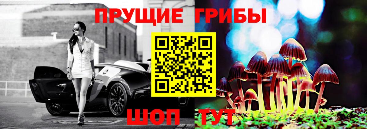 Галлюциногенные грибы Cubensis Камышин