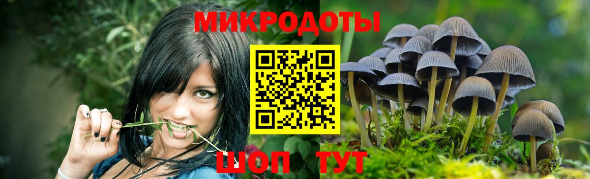 Псилоцибиновые грибы Magic Shrooms  Вход с VPN  как найти закладки  Камышин 